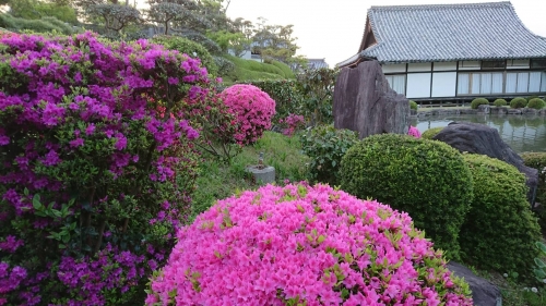 厄除けうたづ大師