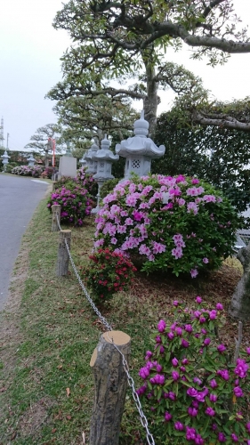 厄除けうたづ大師